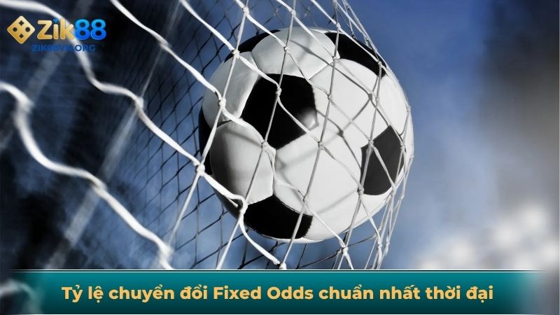Tỷ lệ chuyển đổi Fixed Odds chuẩn nhất thời đại